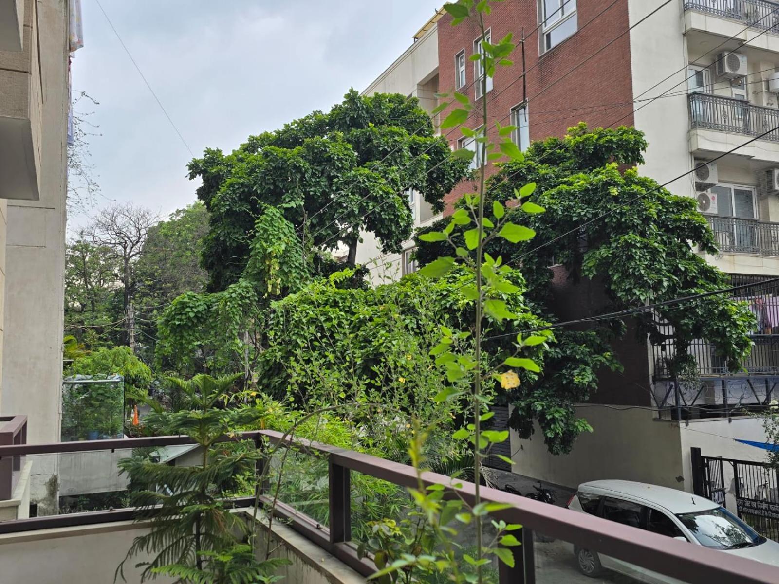 Two Green Park New Delhi Exterior photo